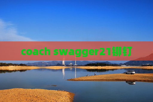 coach swagger21铆钉